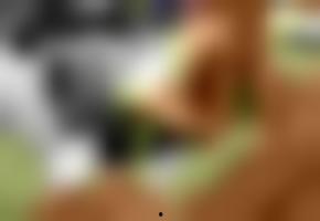 国产欧美吧视频免费观看