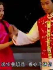 国产顶级花鼓戏视频全集,国产顶级花鼓戏视频全集精华集锦