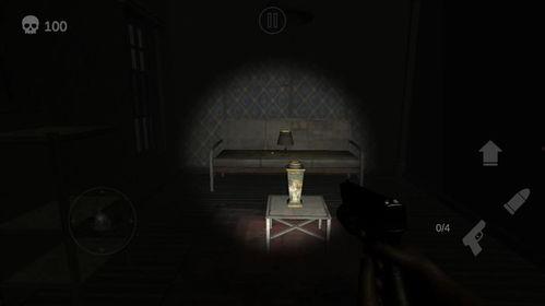 国产恐怖小房子视频,惊悚氛围下的心理探索之旅